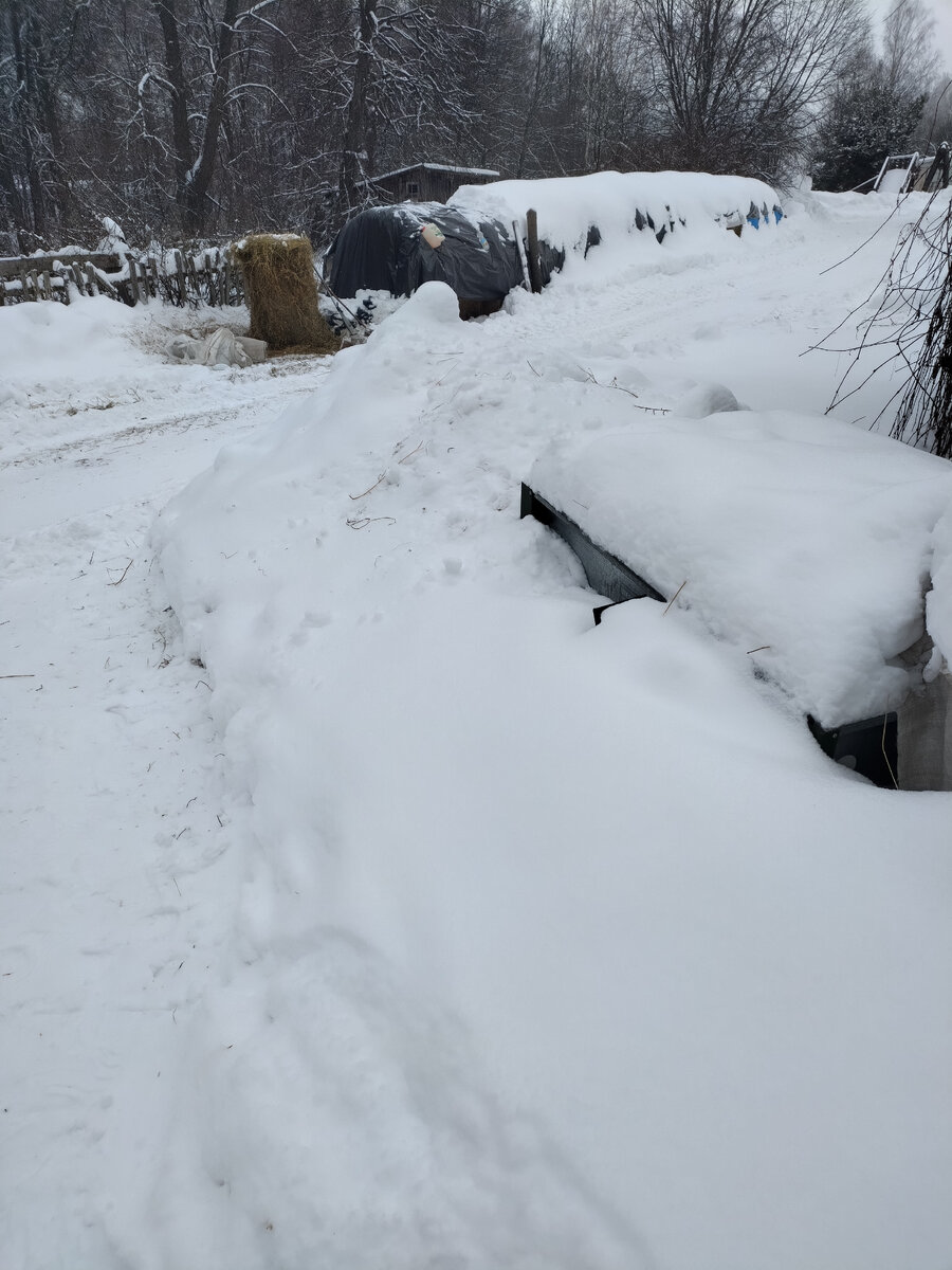 Все бело и все в сугробах