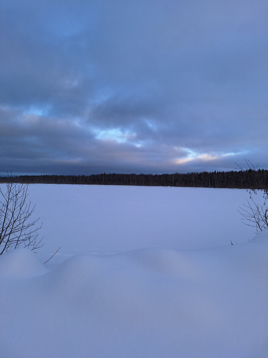 Весенние места. Цветение сакуры в йокогаме. Черри блоссом дерево. Весенние места. Весенние цветники.