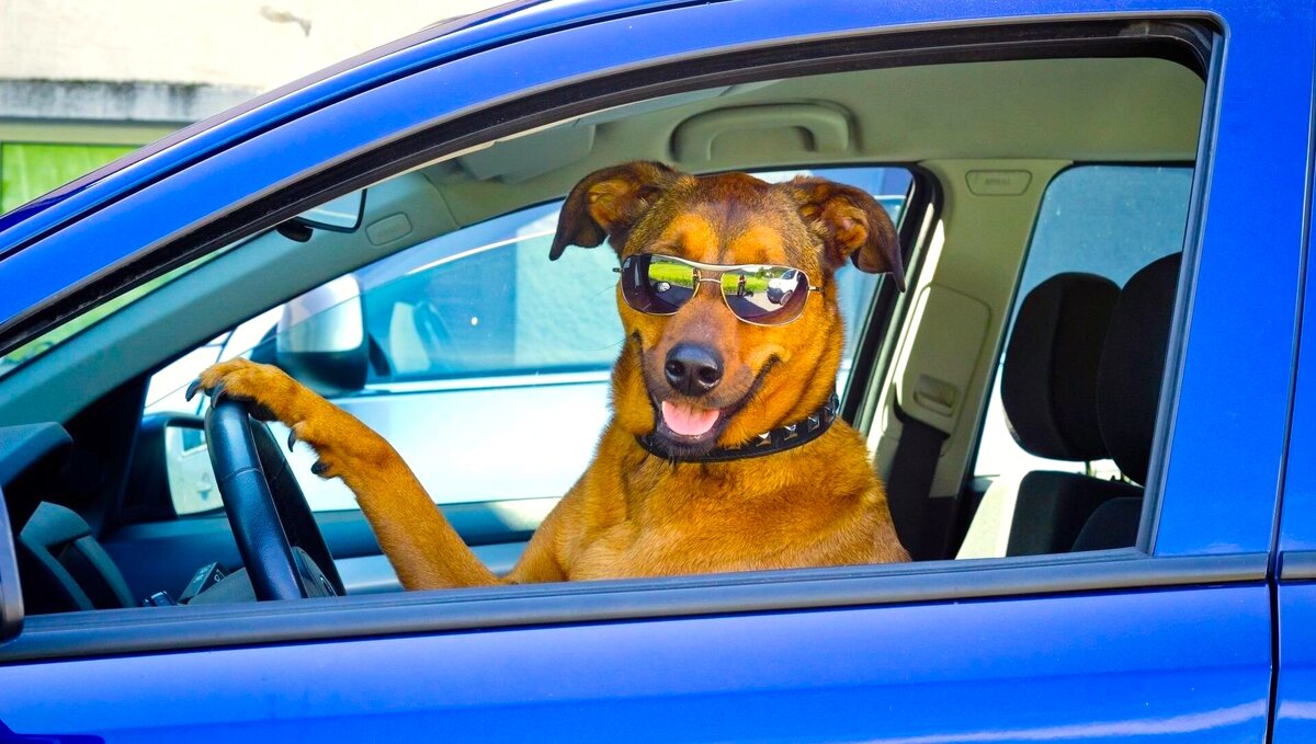 Фото: flomaster.top