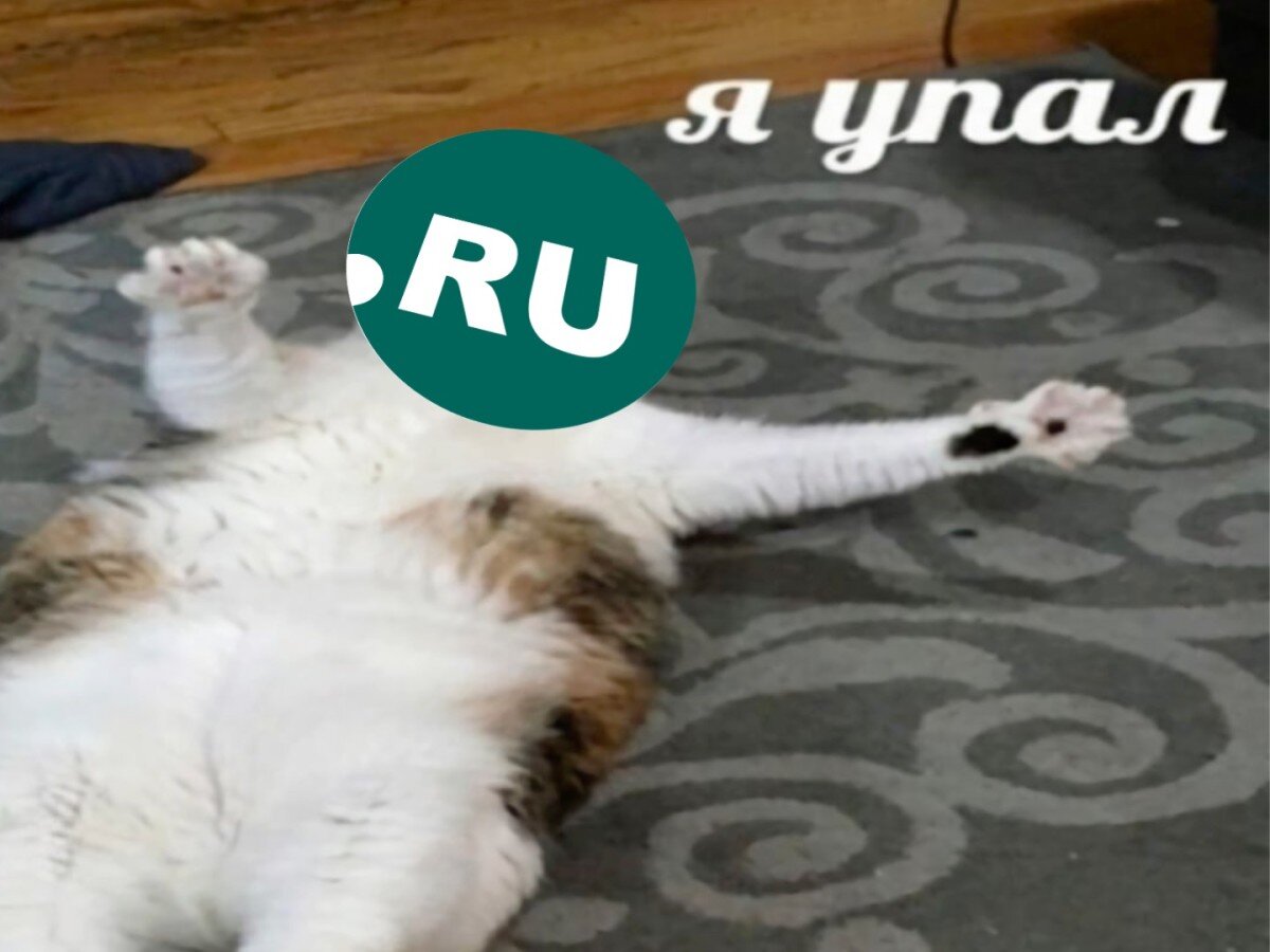    Почему 30 января рунет упал не у всех?