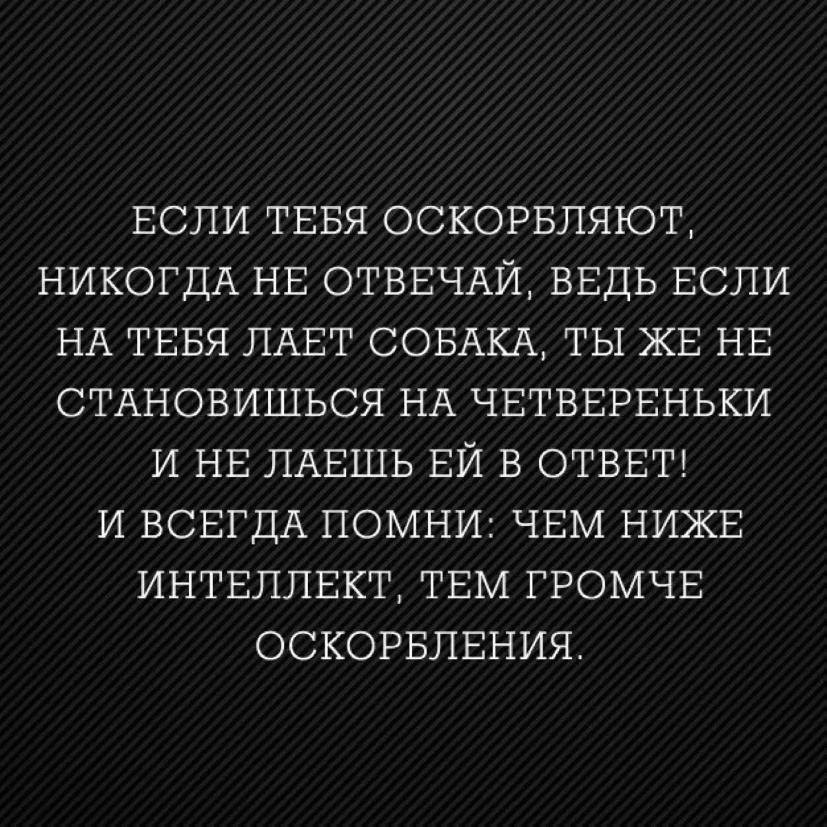 Как ответить на оскорбление: 10 лучших способов | Психология | Саморазвитие | Дзен