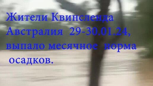 Сколько приносит прибыли магазин. Статистика подписчиков в дзен. Статьи на дзене. Как набрать подписчиков в яндекс дзен. Как набрать 30 часов в дзене.