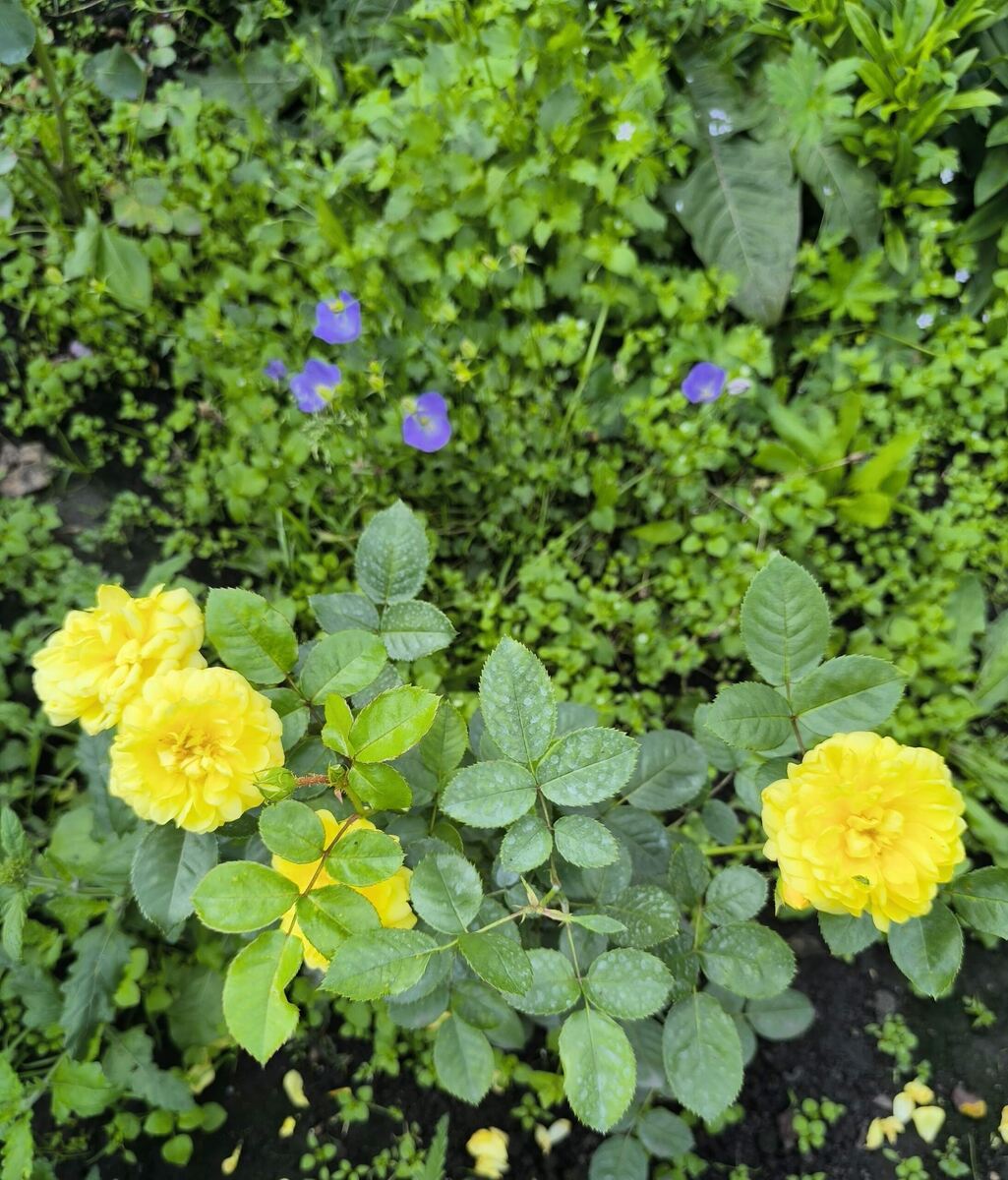 фото Татьяны