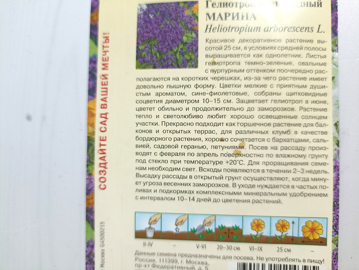 Мой алгоритм посева любых цветов 🌺 : год от года и всходят быстро, и  растут крепкими. Пошагово с фото | Сад Фрейи | Дзен