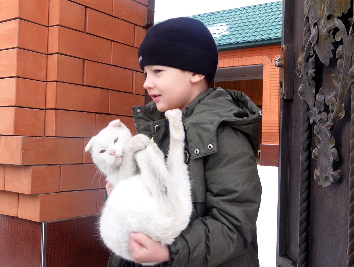 сочувствующий читать. сочувствующий читать. сочувствие и милосердие в современном мире. сочувствие это определение. выражение сочувствия.