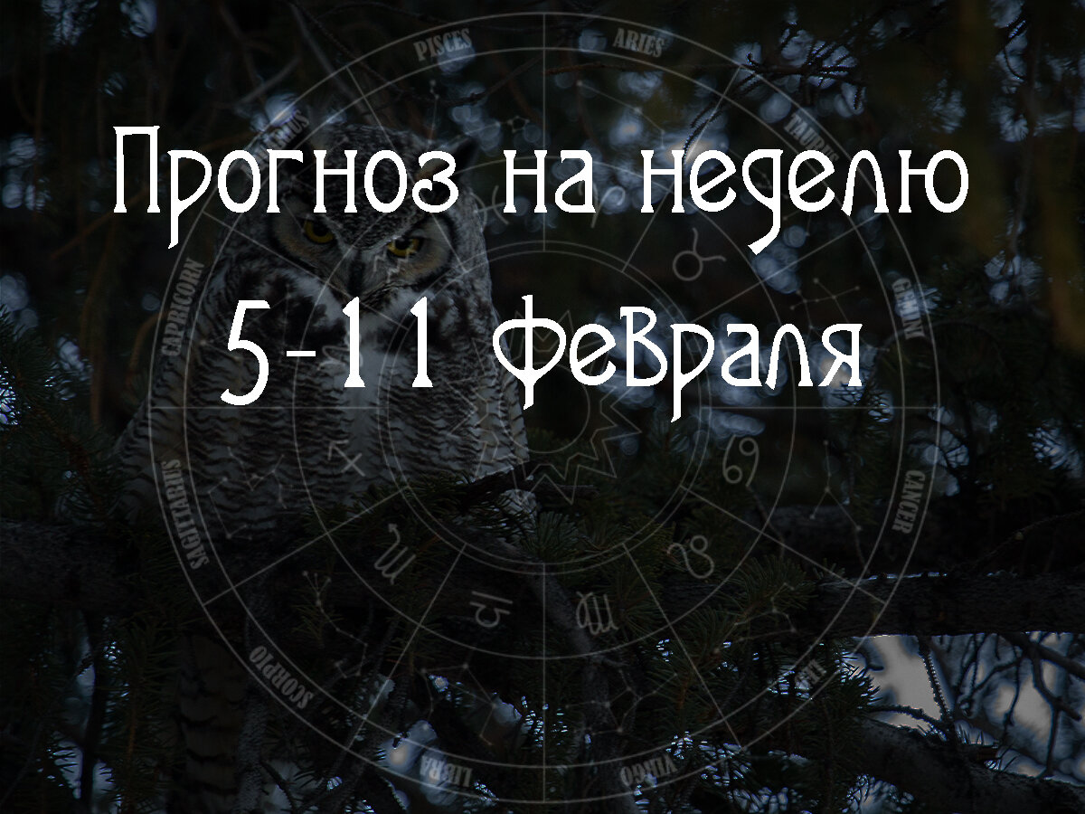 Астрологический прогноз на 5 – 11 февраля 2024 года