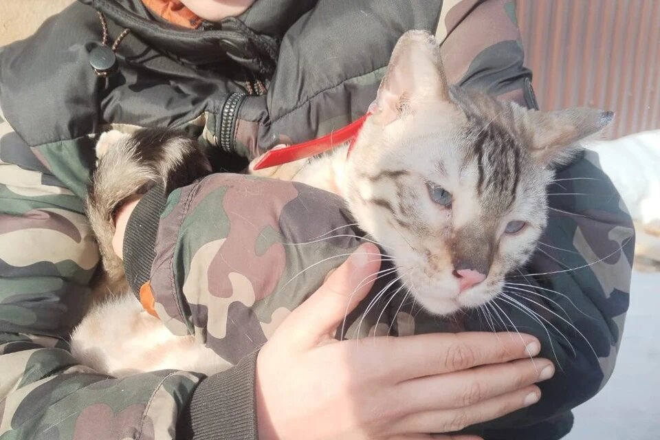 Фото: страница оренбургского приюта «Я-живой!»