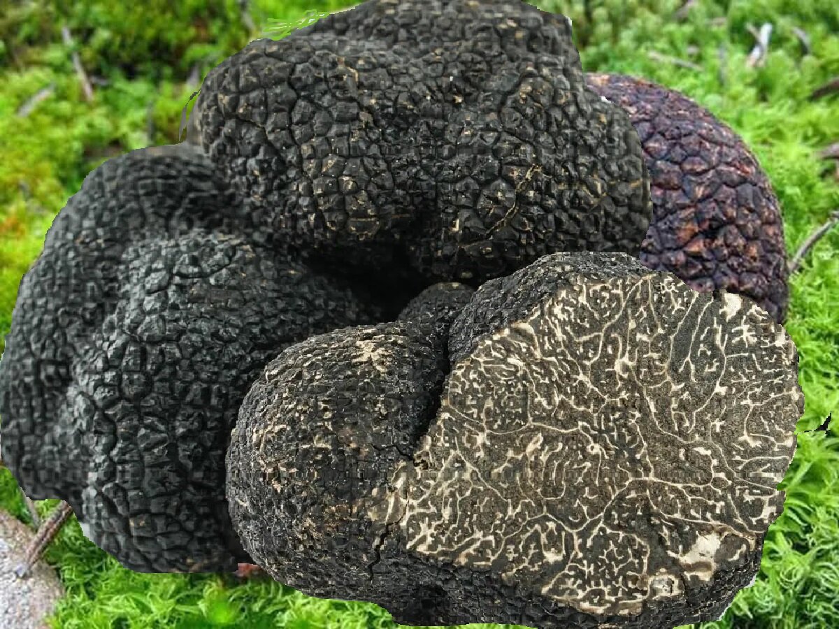 Источник:  https://avatars.mds.yandex.net/i?id=9fc15b49913e40c1d4ceea99592e1d0a7c49c764-11413071-images-thumbs&n=13