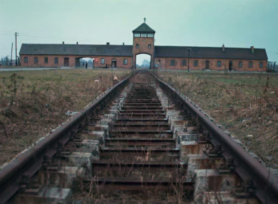 Освенцим в фильме Клода Ланцмана «Шоа» 1985 года.