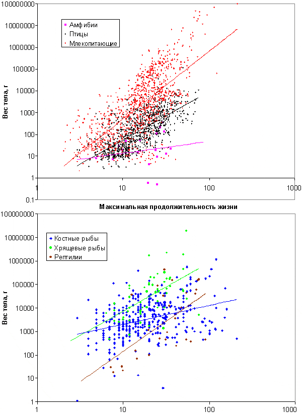 Соотношение максимальной продолжительности жизни и массы тела в шести классах позвоночных животных. Видно, что во всех классах мелкие животные живут в среднем меньше, чем крупные. По мере уменьшения массы тела продолжительность жизни быстрее всего снижается у млекопитающих, тогда как у костных рыб и амфибий это снижение выражено в наименьшей степени. Графики построены автором заметки по данным из AnAge