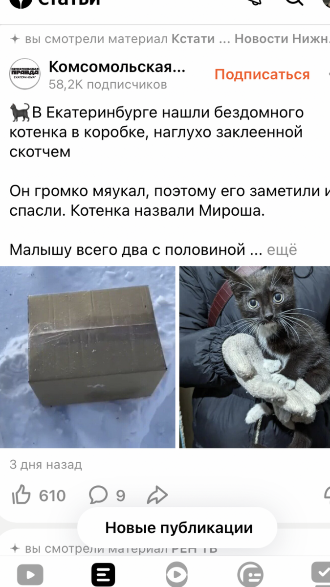 Выбросили кота. Выбросили кота. Выбросили кота. Выбросили кота. Выбрасывают животных на улицу.