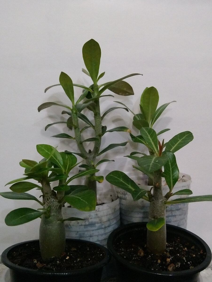 Фото от 3.02.2024