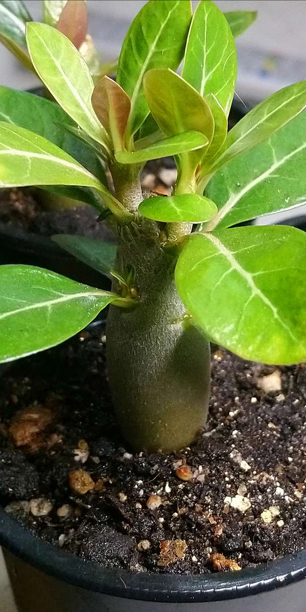 Фото от 3.02.2024