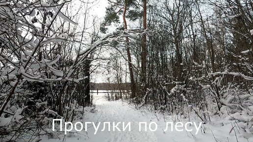 “идите с данью домой, а я возвращусь, похожу еще”. идите с данью домой а я возвращаюсь. кому принадлежат эти слова кому. идите с данью домой а я возвращусь кто это сказал. идите с данью домой а я возвращаюсь.