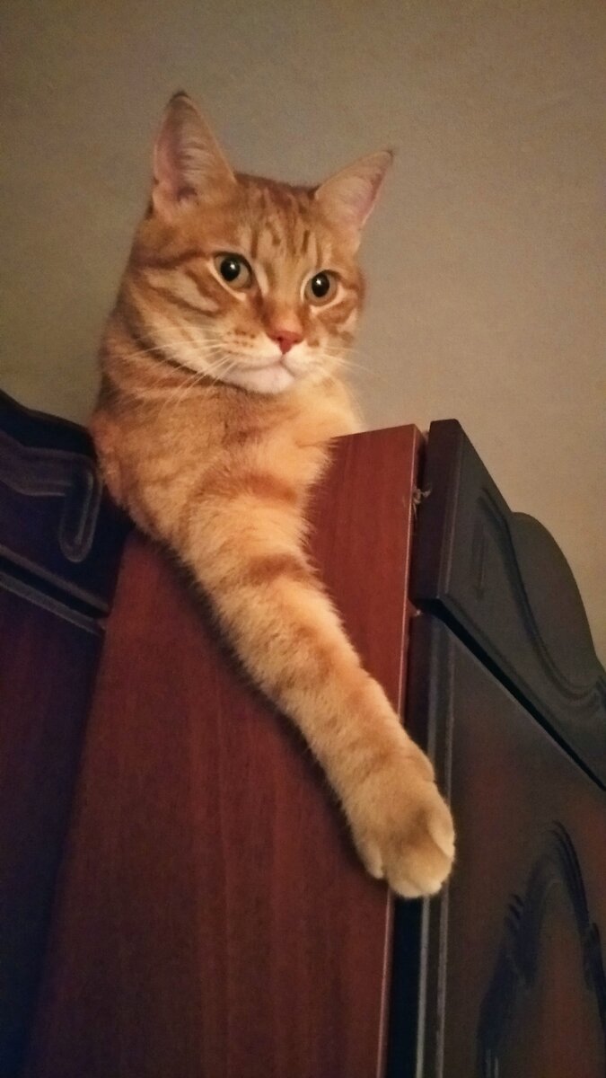 Мистер фримен арты. Смайлик до новых встреч. Пока темы. Пока темы. Пока темы.