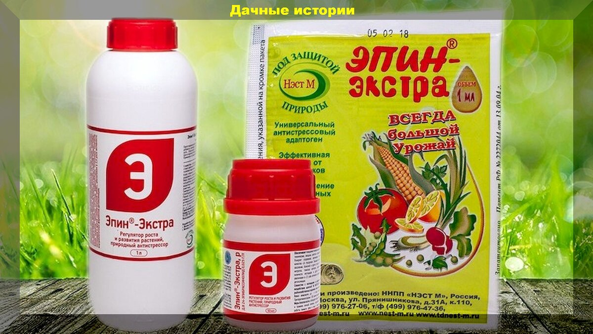 Чем заменить эпин в домашних условиях Зачем использовать стимуляторы роста и фитогормоны: современные средства управле