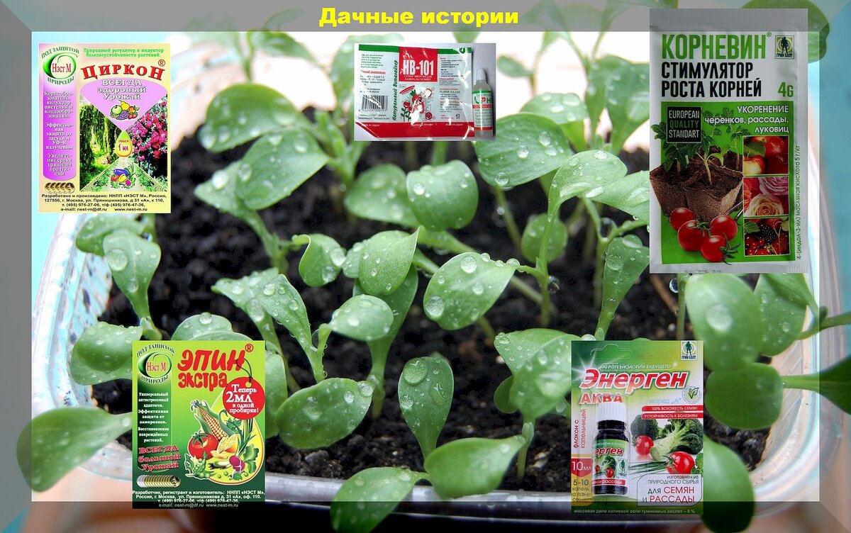 Полезная информация | Купить удобрения и стимуляторы роста для растений | Интернет-магазин Экогель