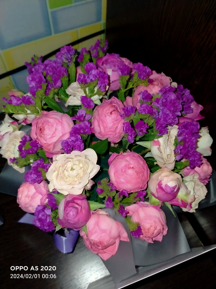 Бедные розочки не могут выдержать плюс 28 домашней жары