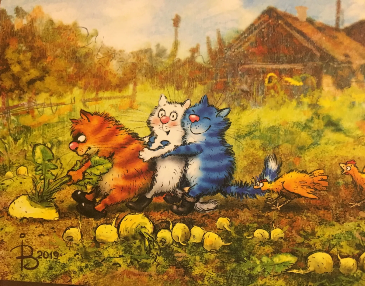 очаровательные коты Рины Зенюк