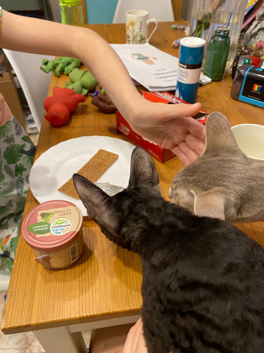 Не знаю что есть в больнице. Больные лежат в коридорах больницы. Питание в больнице. В больнице после операции. Пациенты в поликлинике.