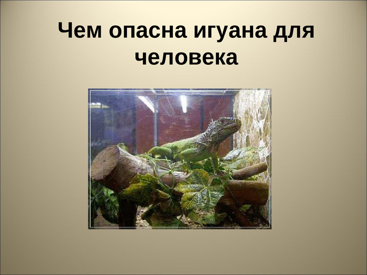 Однкнр 5 класс профессии будущего. Доклад о любой профессии. Памятка о самовоспитании 5 класс. Однкнр 5 класс профессии будущего. Однкнр о профессиях будущего человека.