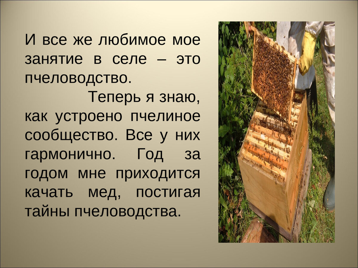 презентация на тему технологии будущего. сочинение на тему технологии будущего. эссе технологии будущего.