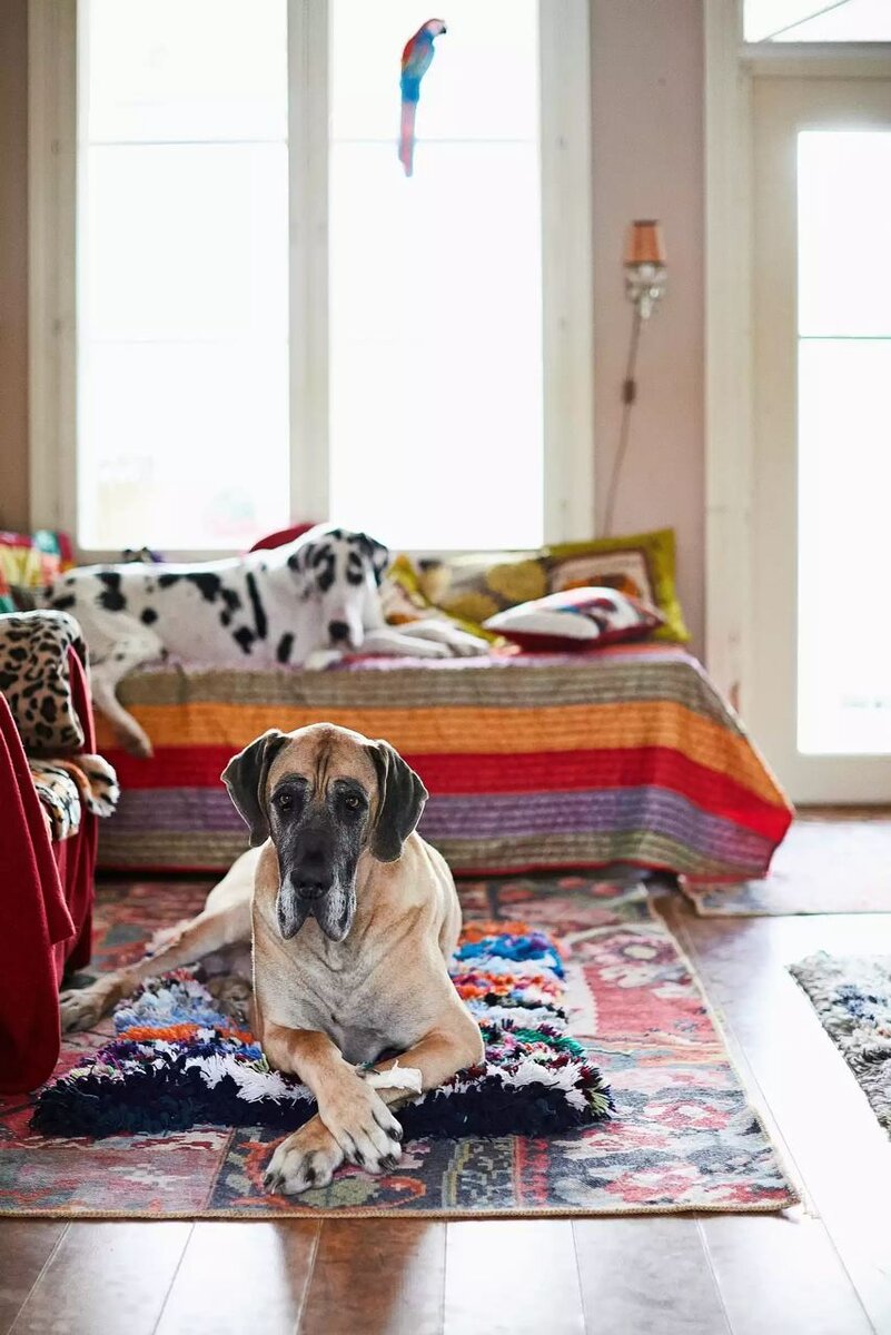 прикольное фото сусуман. пристройка балкона. надпись хочу. я хочу замуж. промоутер tele2.