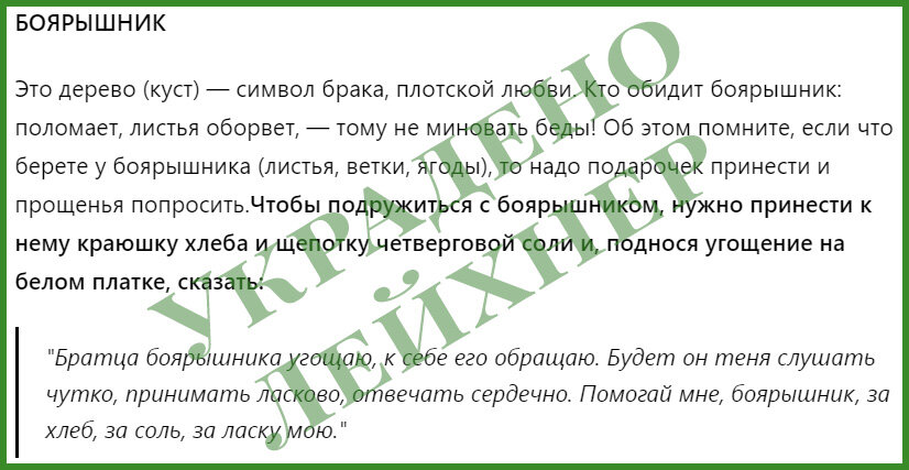 Держи громко. Loud speaking. Девушка кричит в громкоговоритель. Мужчина с громкоговорителем в городе. Шум и человек.
