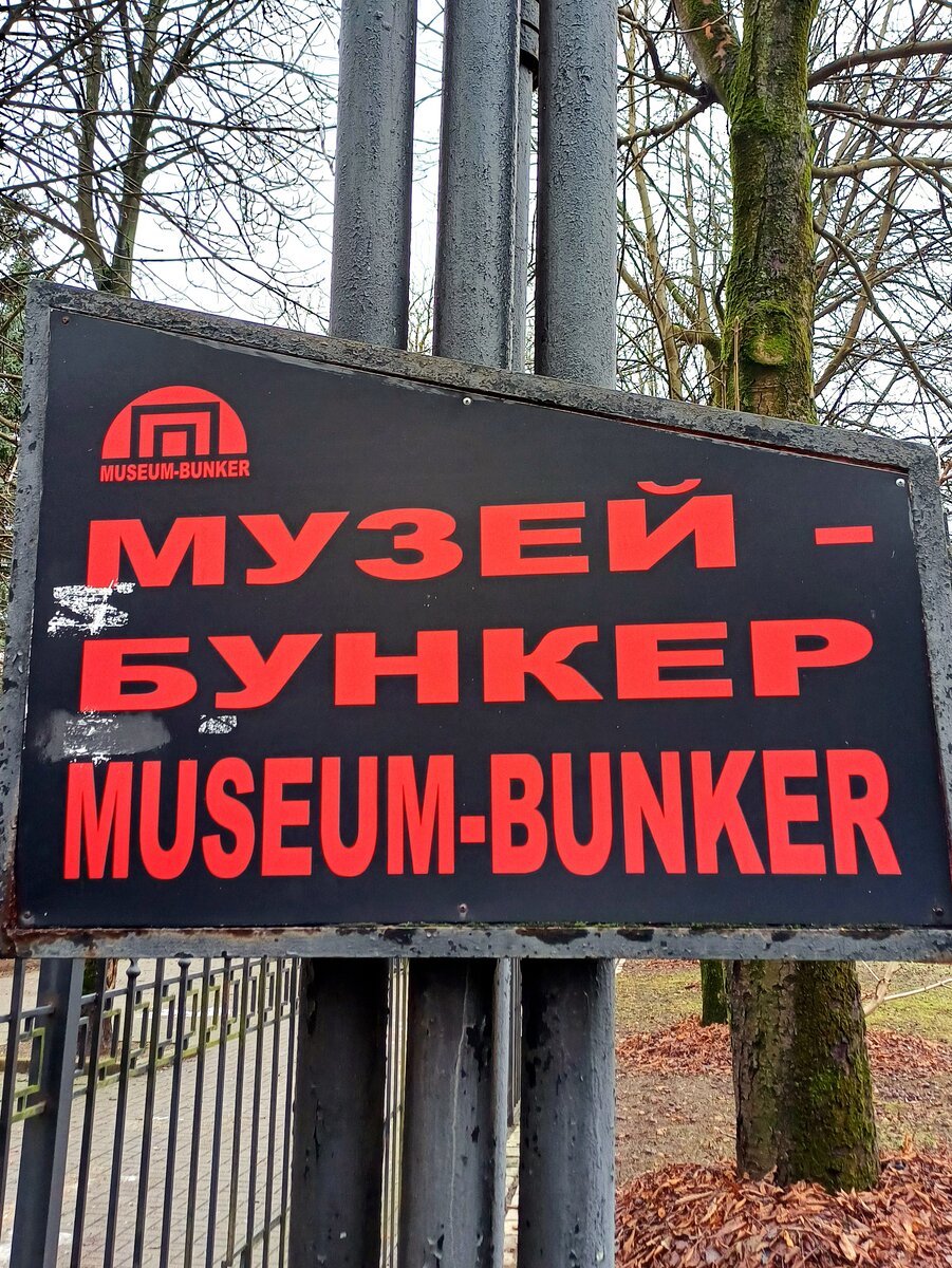 Музей в Калининграде