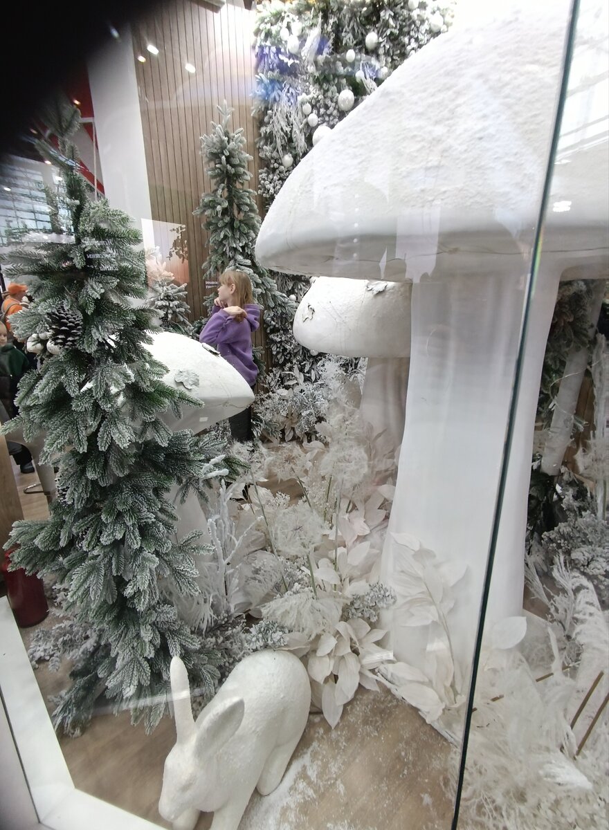 Грибы в Рязани