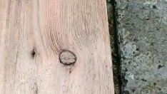 грустные надписи. а эта надпись до сих. а эта надпись до сих. а эта надпись до сих. а эта надпись до сих.