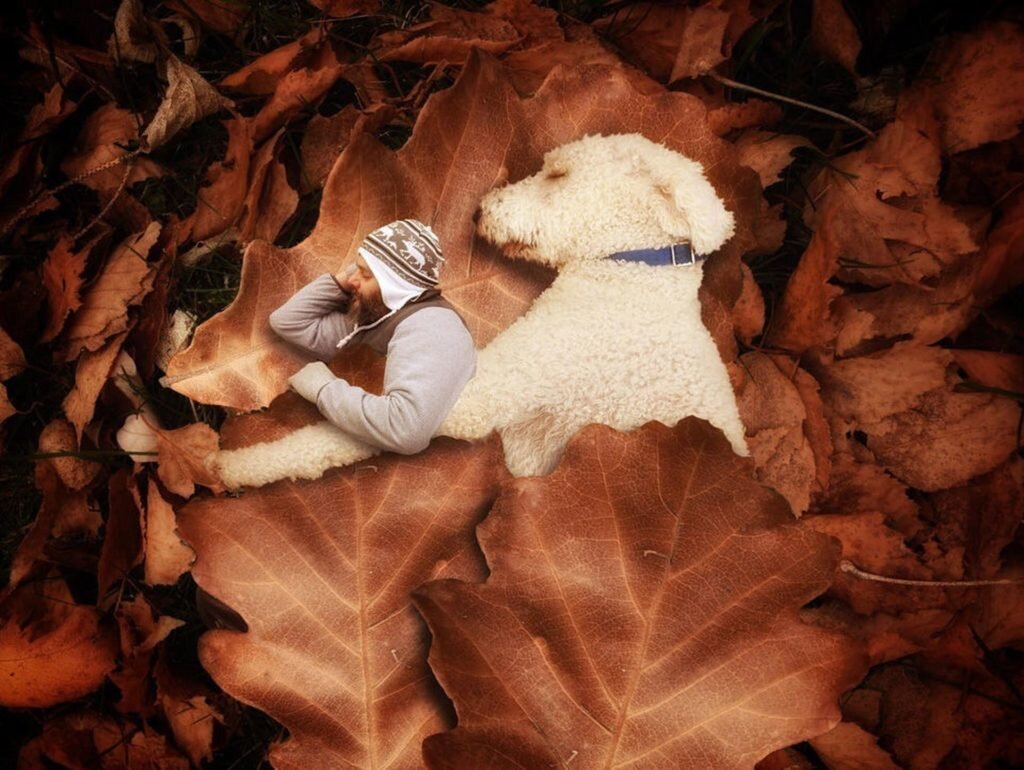    фото: Christopher Cline