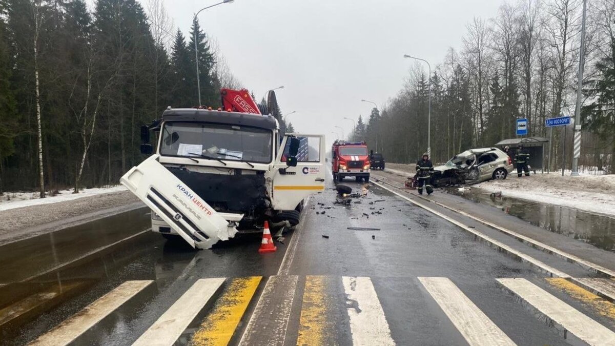 Фото: пресс-служба ГУ МВД по СПб и ЛО
