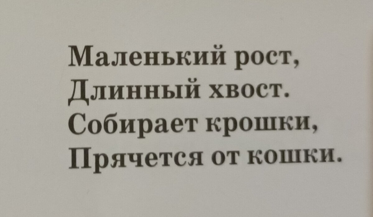 Загадка 1. Фото автора