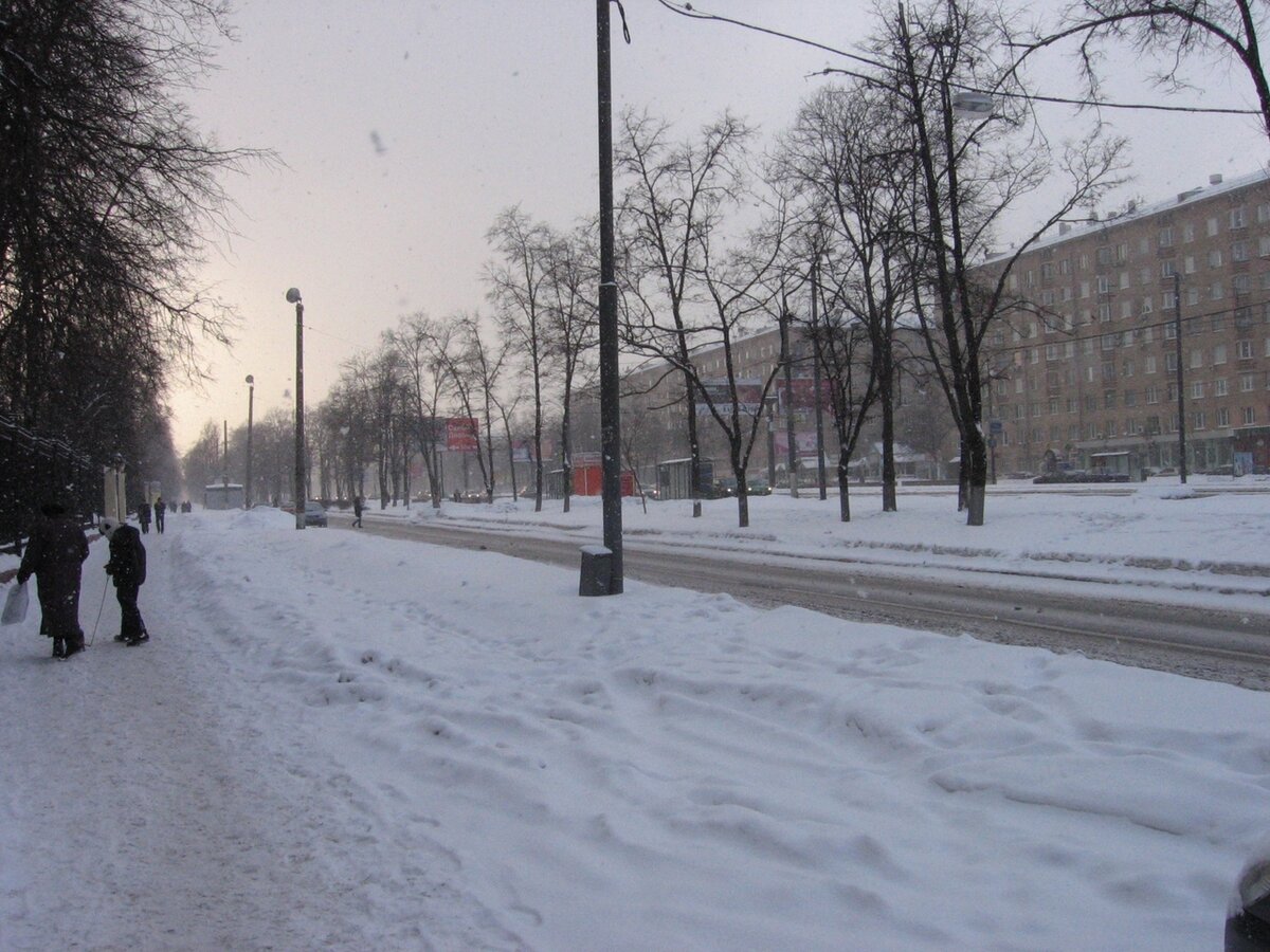 Zima просп мира 22 корп 1 фото