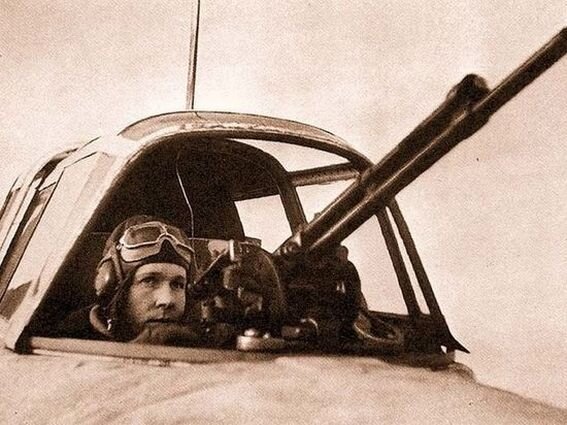 Воздушный стрелок Ил-2