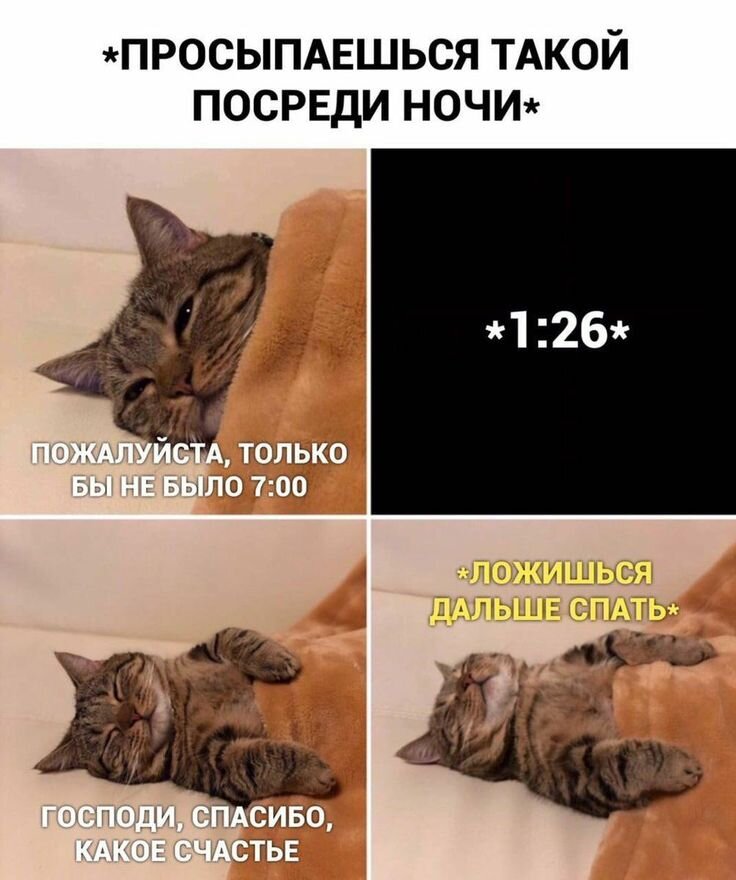 Просыпаться в 7. Мемы с котиками. Кот Мем. Коты мемы с надписями. Смешные мемы с котами.