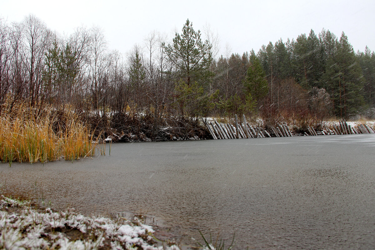 Безмятежность 