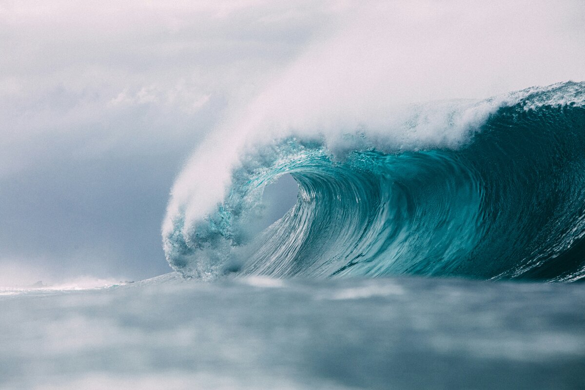 Photo by mattpaul from Unsplash