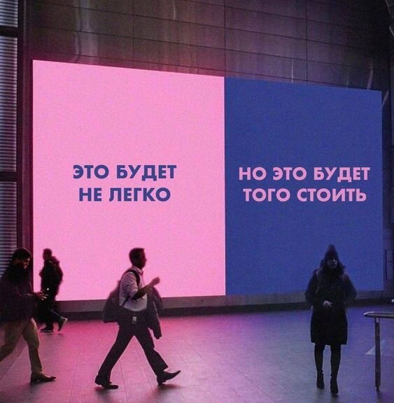 дзен общество