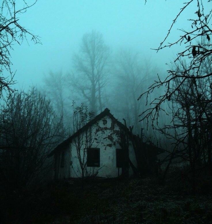 Ужасный ночной. Заброшка Эстетика деревня. Мрачный домик. Мрачный домик в лесу. Мрачный дом в лесу.
