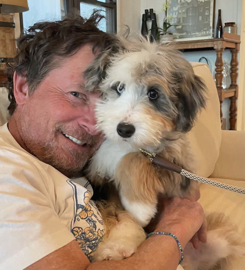 Michael joy. Michael jackson just good friends. Бест оф джой майкл джексон. Joy michael. Livin joy dreamer re original.