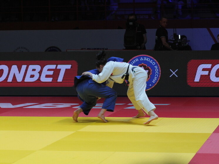 международные единоборства