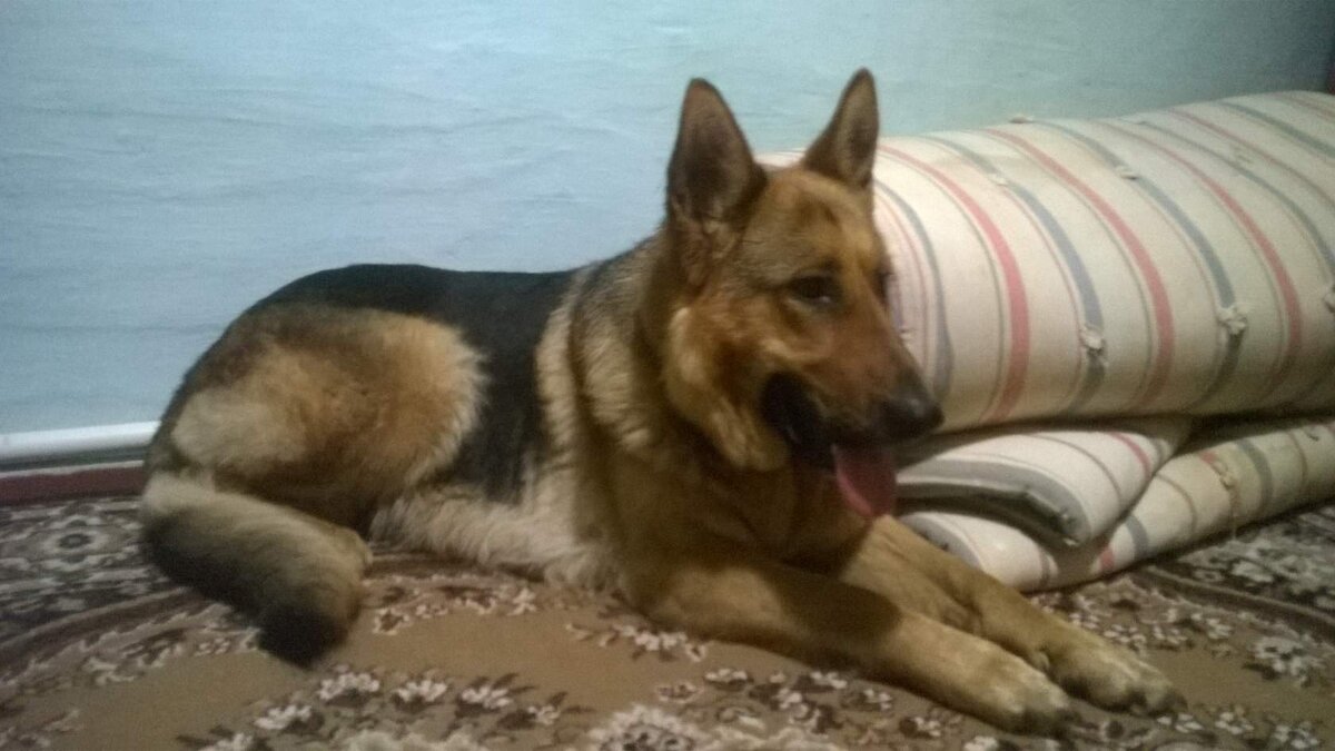 Берта в молодости🔥