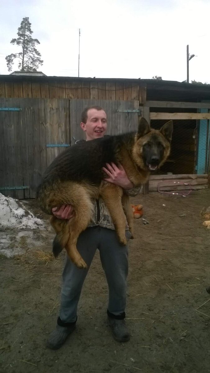 Натц... Вечно у человечка на руках... Прям , как лялька😏