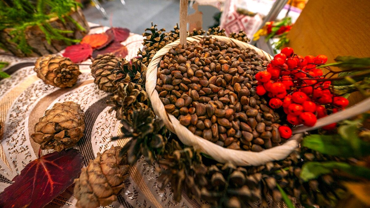    В Югре может появиться сеть пунктов приёма дикоросов