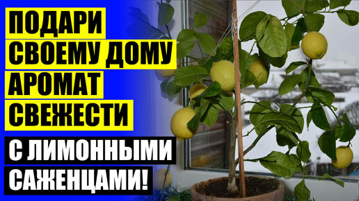 дома не куда не хочу. куда идти картинка. дома не куда не хочу. место куда хочется вернуться. домик в лесу цитаты.