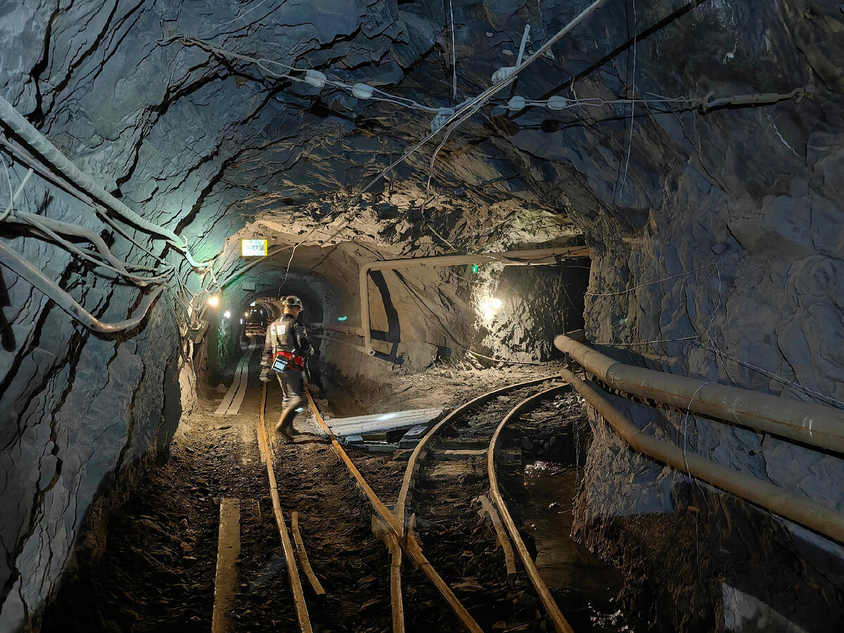 Мурманск, кольский проспект, 114. Спортивный комплекс кольский 53. Кольский 53. Омега моторс севастополь. Кольский проспект 53д мурманск.