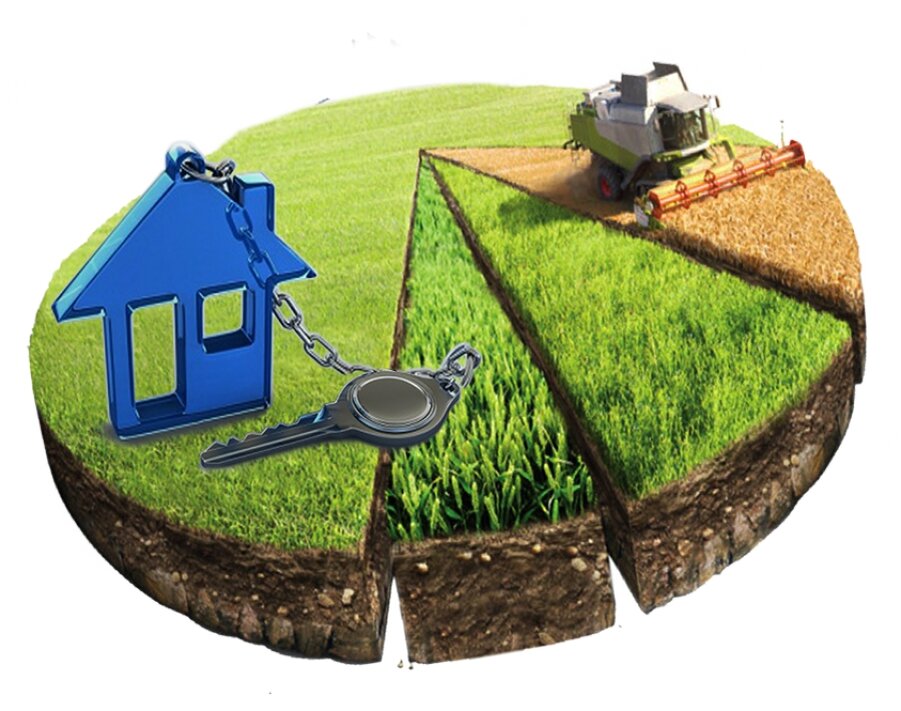 Виды деятельности земельных. Категория земель и вид разрешенного использования. Виды деятельности земельных. Функциональное назначение земельного участка. Виды деятельности земельных.