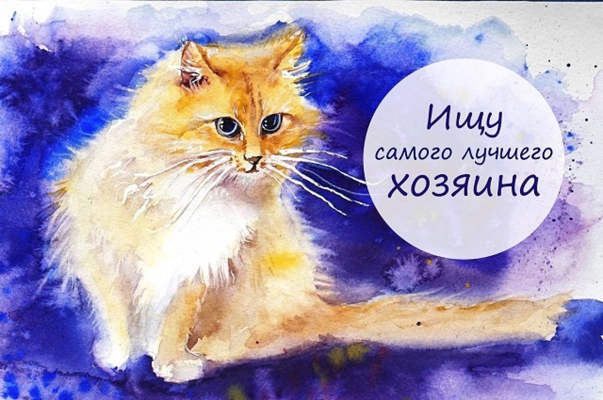    Живи!